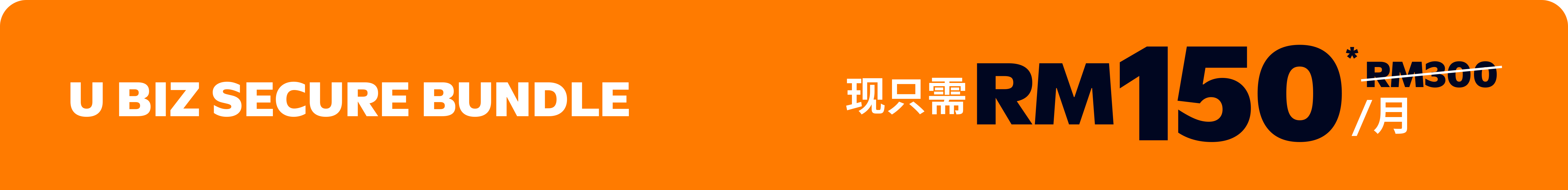 U Biz Secure Bundle