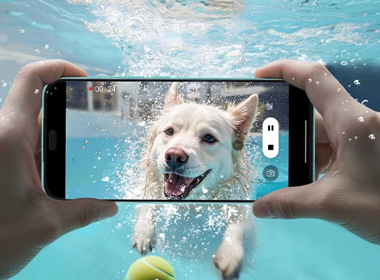 A Smarter Way to Snap and Search