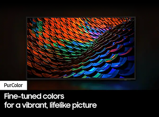 Immerse Yourself with PurColor Technology
