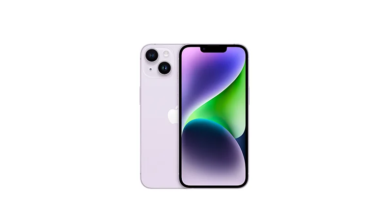 purple-1