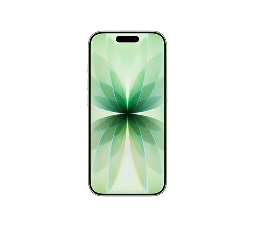 ip17 sage back
