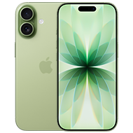 iPhone 17 Sage