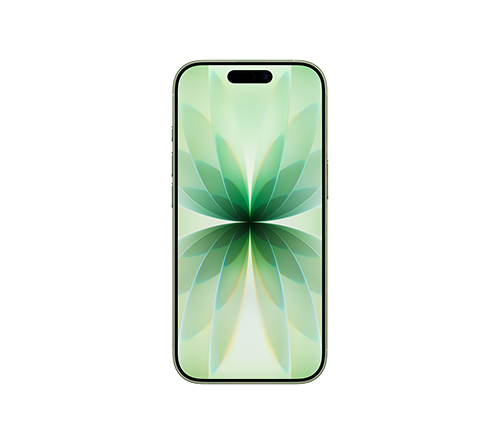 ip17 sage back