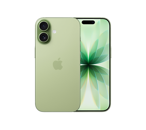 ip17 sage backfront