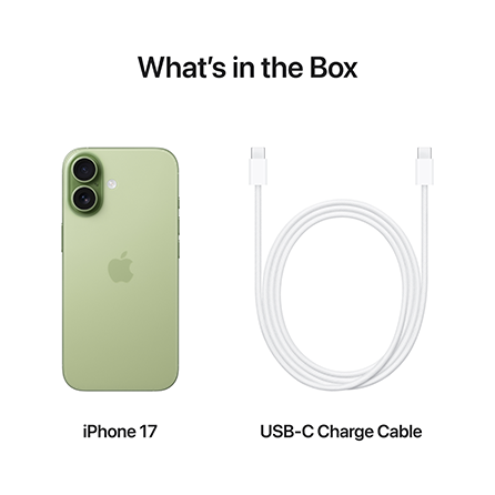 ip17 sage inside